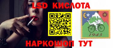 дживик Будённовск