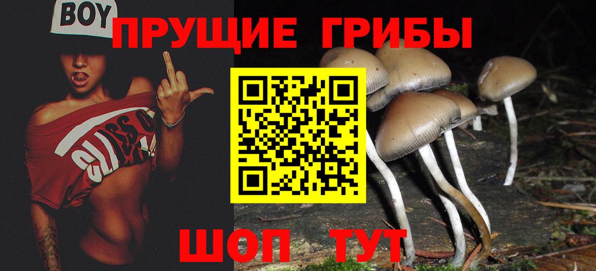 Симферополь  Псилоцибиновые грибы ЛСД  Вход с VPN 