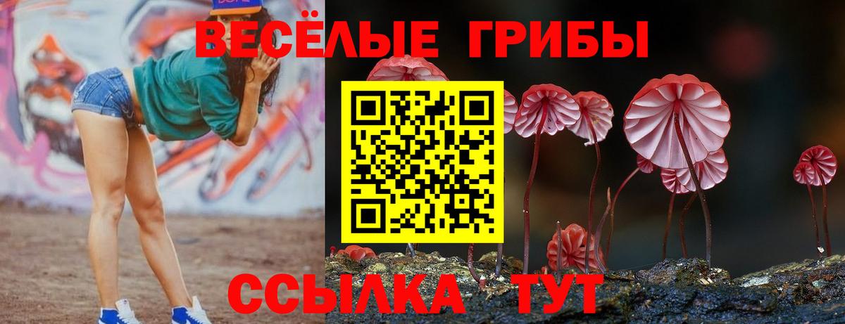 Псилоцибиновые грибы мицелий Симферополь